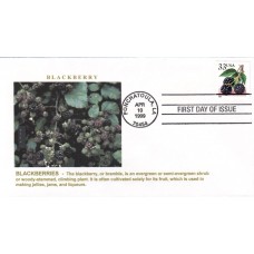 #3297 Blackberry Alto FDC