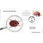 #3351c Lady Beetle Anagram FDC