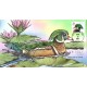 #2484 Wood Duck Bevil FDC