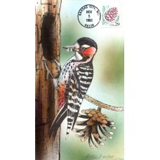 #2491 Pine Cone Bevil FDC