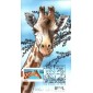 #2705 Giraffe Bevil FDC