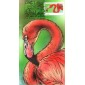 #2707 Pink Flamingo Bevil FDC