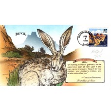 #3183h Grand Canyon Bevil FDC