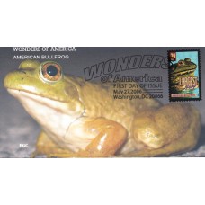 #4055 American Bullfrog BGC FDC