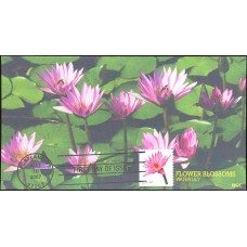 #4182 Water Lily BGC FDC