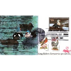 #RW58 King Eiders B Line FDC