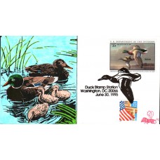 #RW62 Mallards B Line FDC