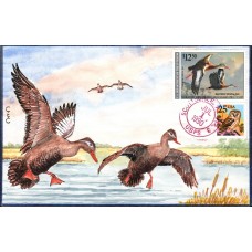 #RW57 Black Bellied Whistling Duck C & C FDC