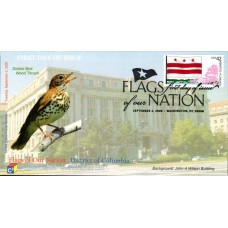 #4283 FOON: DC Flag PNC C-Cubed FDC