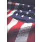 #2593 Pledge of Allegiance Ceremony Program