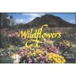 #2647-48 Wildflowers Ceremony Program