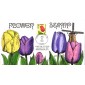 #2517 F - Tulip Collins FDC