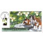 #2652 Maine Wildflowers Collins FDC