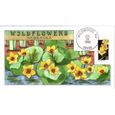 #2658 Nebraska Wildflowers Collins FDC