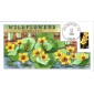 #2658 Nebraska Wildflowers Collins FDC