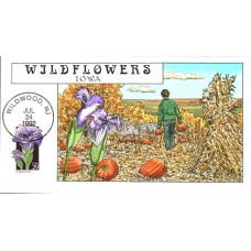 #2672 Iowa Wildflowers Collins FDC