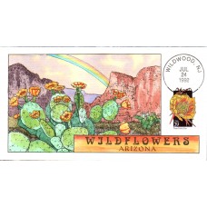 #2685 Arizona Wildflowers Collins FDC