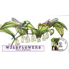 #2691 Delaware Wildflowers Collins FDC