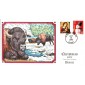 #3675//79 Snowman - Bison Collins FDC