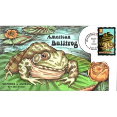 #4055 American Bullfrog Collins FDC