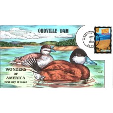 #4056 Oroville Dam Collins FDC