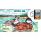 #4056 Oroville Dam Collins FDC