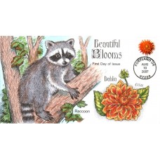 #4179 Beautiful Blooms - Raccoon Collins FDC