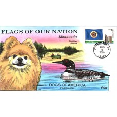 #4299 FOON: Minnesota Flag Collins FDC