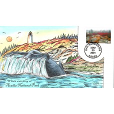 #C138 Acadia National Park Collins FDC