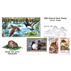 #RW56 Lesser Scaup Collins FDC - 72 Made Raccoon