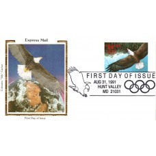 #2542 Bald Eagle in Flight Colorano FDC