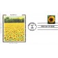 #4347 Sunflower Colorano FDC