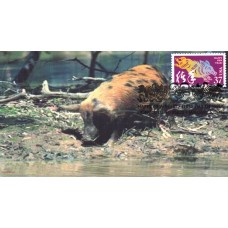 #3895l Year of the Boar Compuchet FDC