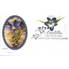 #UX647 Azulillo CompuChet FDC