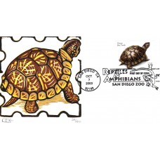 #3818 Ornate Box Turtle Curtis FDC