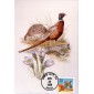 #2283 Ring-Necked Pheasant Double A Photo FDC