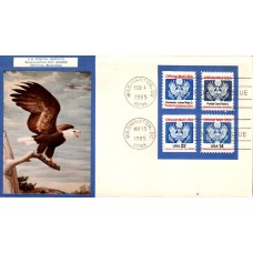 #O129A//36 Official - Eagle Dual Double A FDC