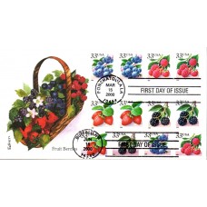 #3404-07 Fruit Berries Dual Edken FDC