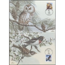 #2284-85 Owl and Grosbeak Maxi FDC Set