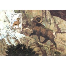 #2288 Bighorn Sheep Maxi FDC