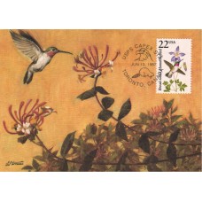 #2289 Broad Tailed Hummingbird Maxi FDC