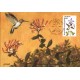 #2289 Broad Tailed Hummingbird Maxi FDC