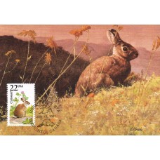 #2290 Cottontail Rabbit Maxi FDC