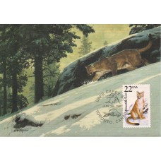 #2292 Mountain Lion Maxi FDC