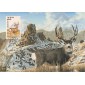 #2294 Mule Deer Maxi FDC