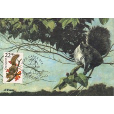 #2295 Gray Squirrel Maxi FDC