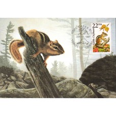 #2297 Eastern Chipmunk Maxi FDC