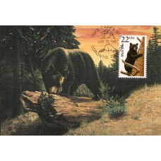 #2299 Black Bear Maxi FDC