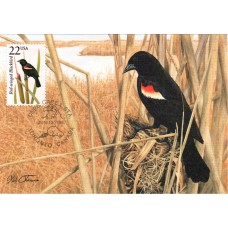 #2303 Red-winged Blackbird Maxi FDC