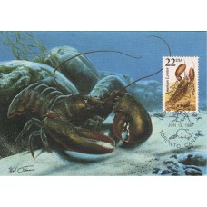 #2304 American Lobster Maxi FDC